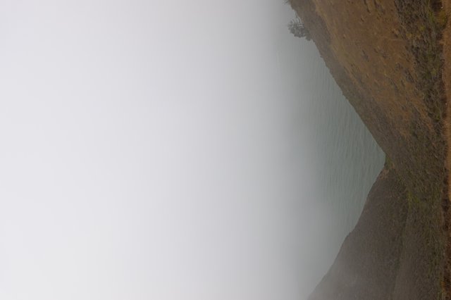Misty Coastal Hills Through Valley View