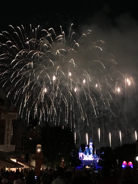 A Sky Full of Fireworks at Disneyland