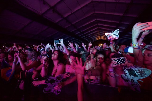 Coachella 2012: Saturday Night Concert Crowd Goes Wild