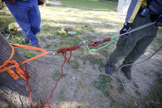 Rope tethering to tree
