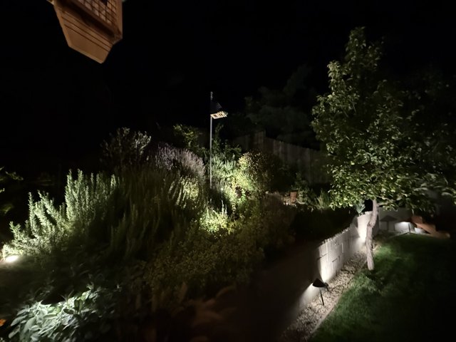 Nocturnal Garden Glow