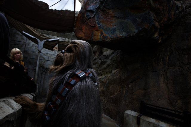 Exploring Star Wars Land with Galactic Friends