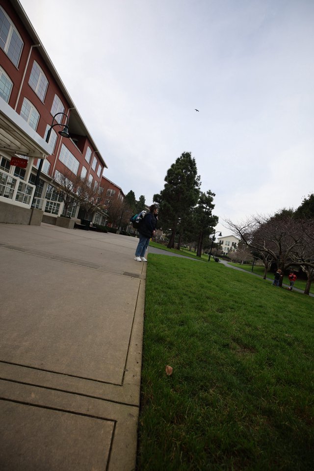 Overcast Day on Campus Walkway