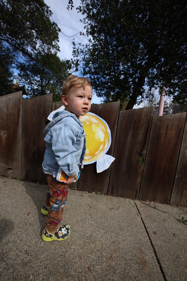 Toddler in Fish Costume Poses in Backyard