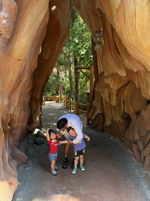 Magical Adventure Through Nature's Archway