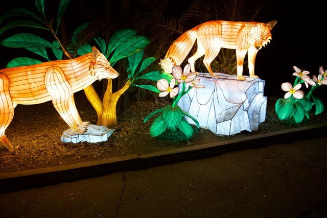 Enchanted Night Safari at Oakland Zoo