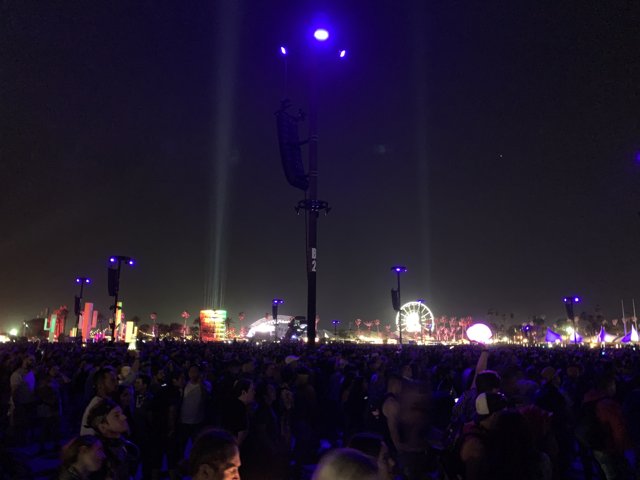 Nighttime Music Festival Crowd