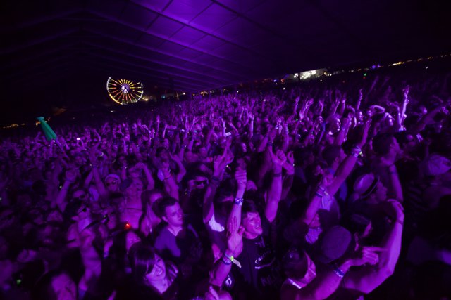 Coachella 2011: Party in the Crowd