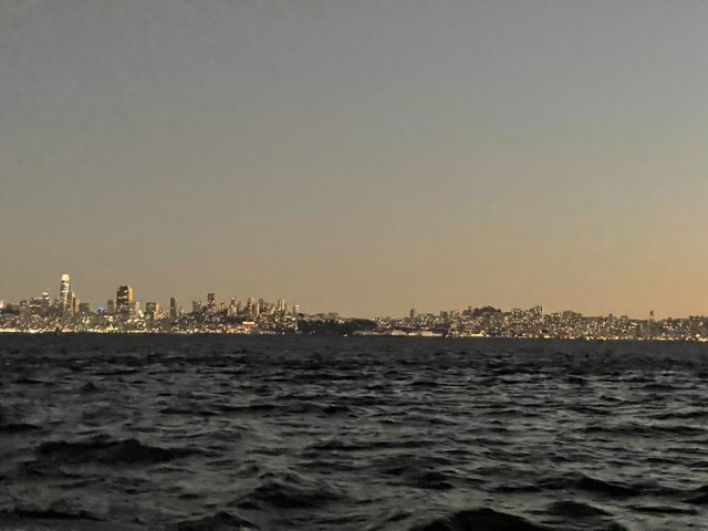 San Francisco's Metropolitan Skyline
