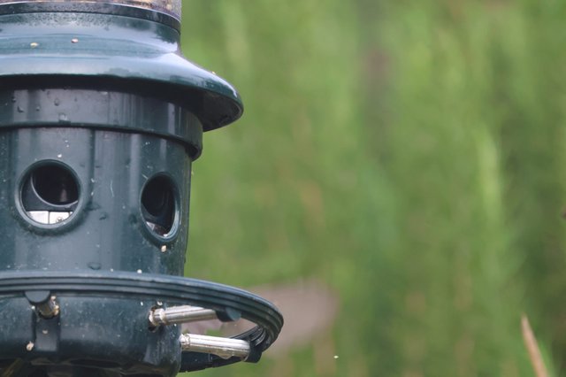 Green Tube Bird Feeder in Natural Garden Setting