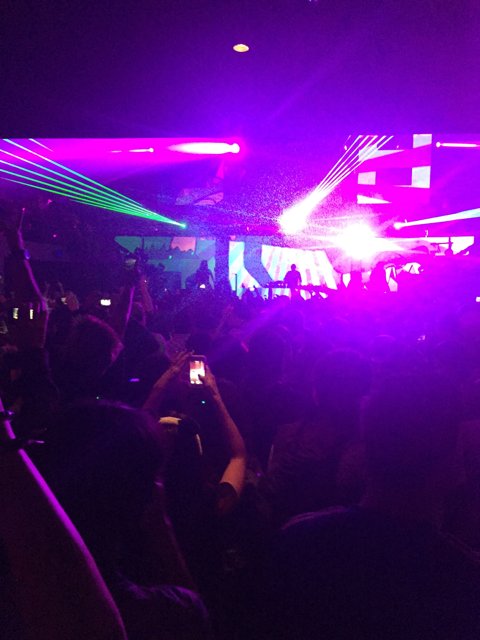 Purple Haze Nightclub Crowd