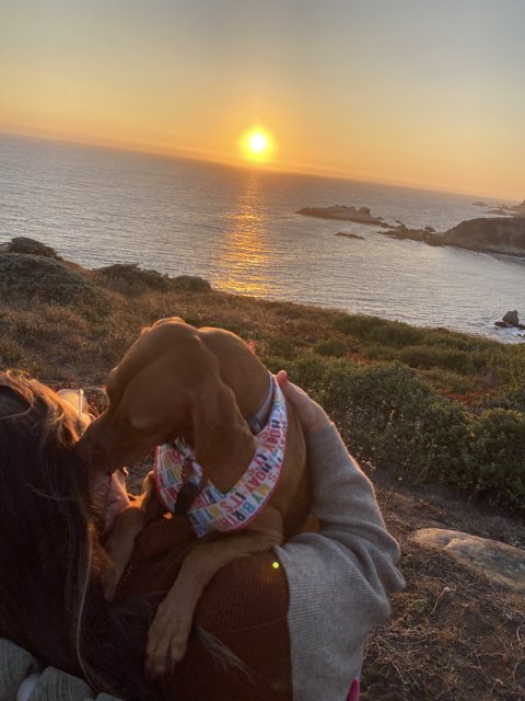 Sunset Serenity with Woman and Pup