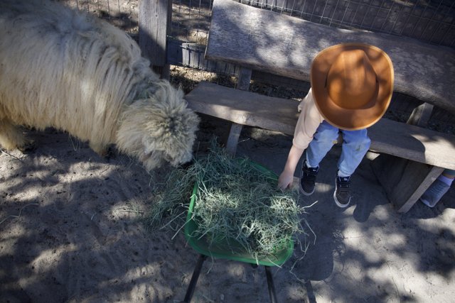 Little Rancher’s Day Out