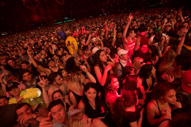 Concert-goers raise the roof at Coachella 2016