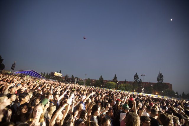Kite Soaring Above a Joyous Crowd at an Outdoor Concert
