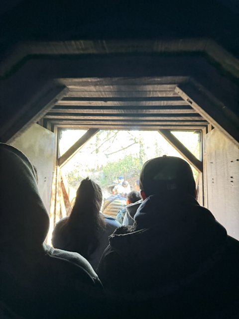 Tunnel Stroll in Tilden Park