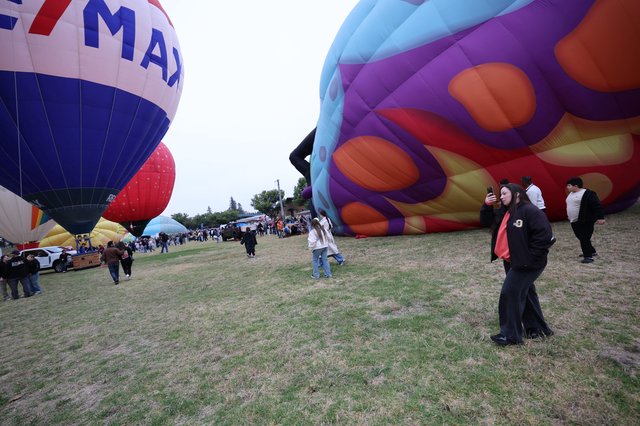 Giant Balloons Inflate at Sonoma County Balloon Classic