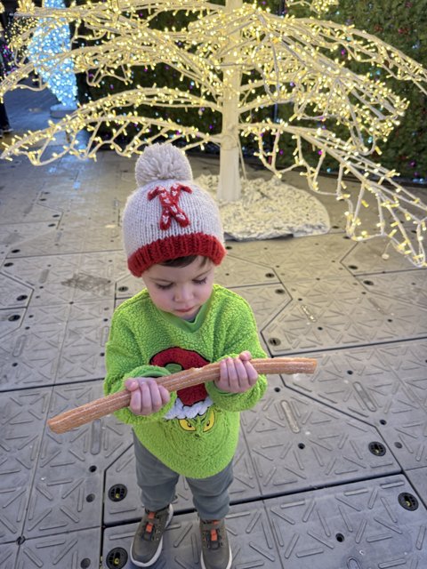 Holiday Delights at PayPal Park