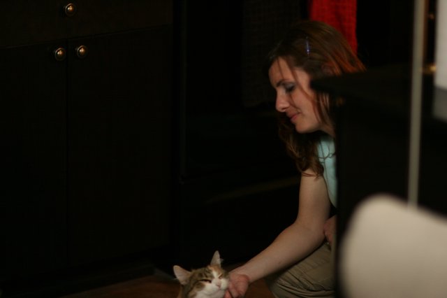 Woman Tenderly Petting a Sleepy Cat at Night