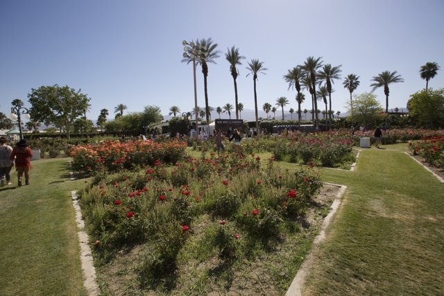 A Summer Walk in the Coachella Garden