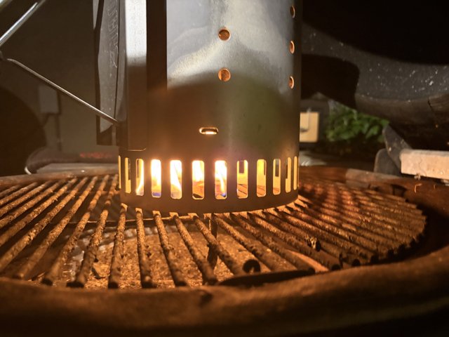 Igniting Delight: The Start of a BBQ Adventure