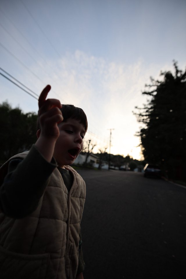 Young Boy Pointing at Dusk in Suburban Street