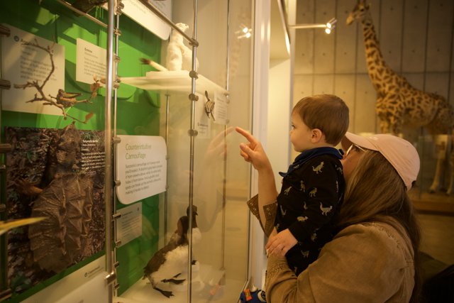 A Day at the Museum: Discovering the Animal Kingdom