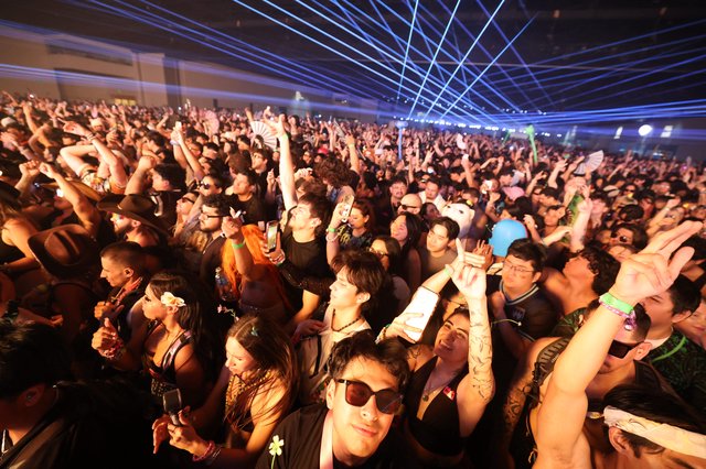 Massive Crowd Erupts Under Laser Light Show at Wobbleland