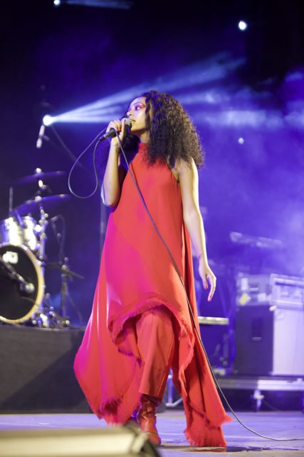 Solange's Solo Performance at FYF Fest