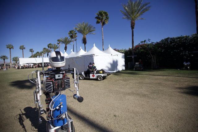Robot Adventures at Coachella