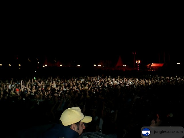 Nighttime Crowd at a Rock Concert