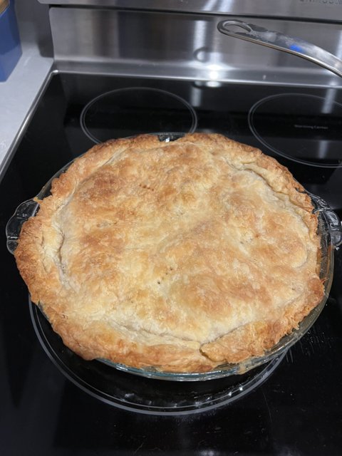 Perfectly Baked Pie