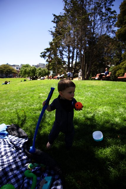 Summer Freedom: A Young Boy's Playtime in Delores Park
