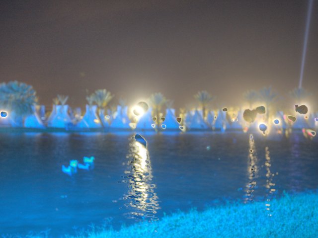 Serene Ducks in a Glowing Water Body