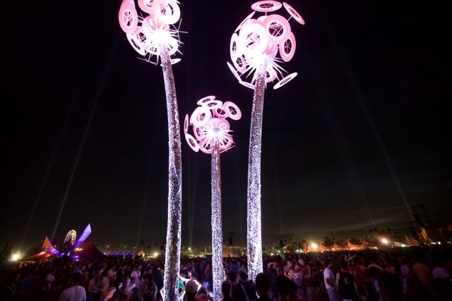Illuminated Palm Tree at Coachella Festival