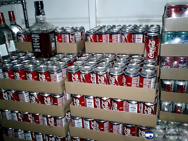 The Towering Cans of Coca Cola