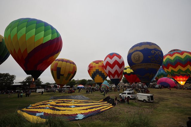 Colorful Hot Air Balloons Rise at Dawn Festival