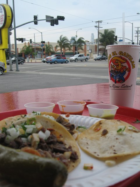 Tacos and Coffee for Lunch