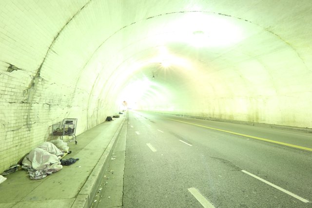 Tunnel Dweller