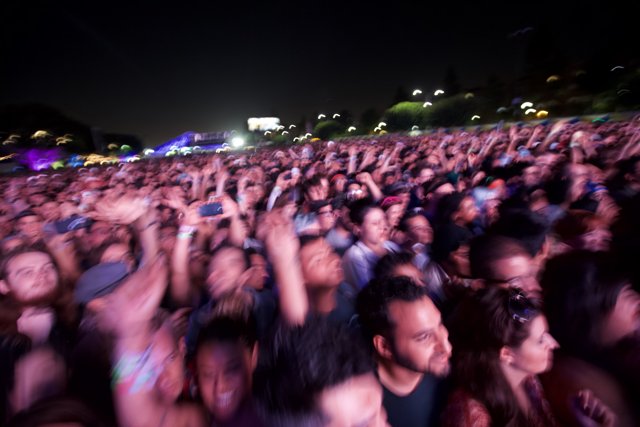 Nightlife Concert: Grooving With the Crowd