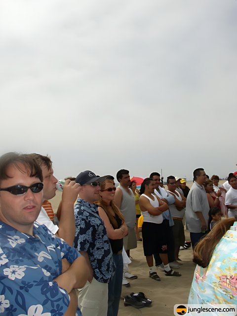 Beachy Sunglass Spectators