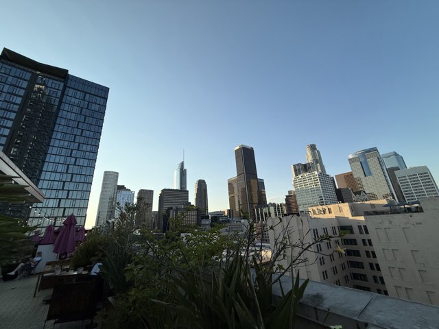 Urban Oasis