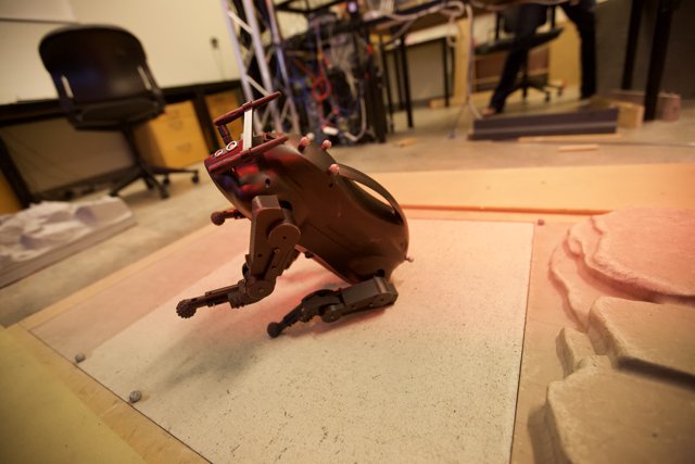Robotic Companion on Hardwood Flooring