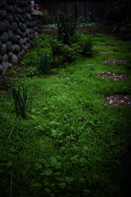 Serene Garden Walkway