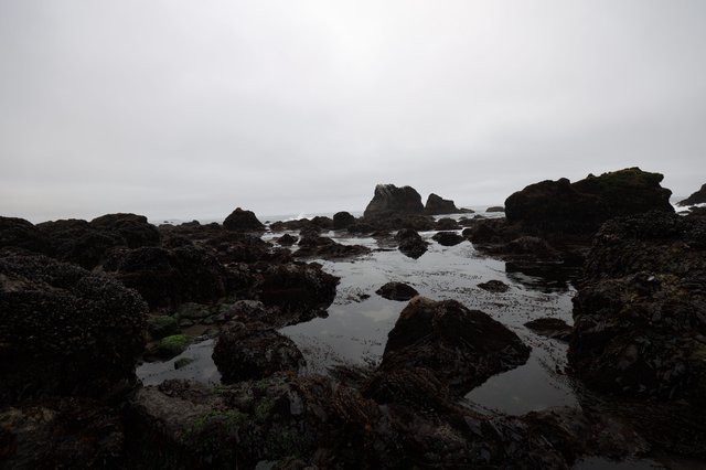 Moody Low Tide Reveals Ancient Rocky Coastal Pools