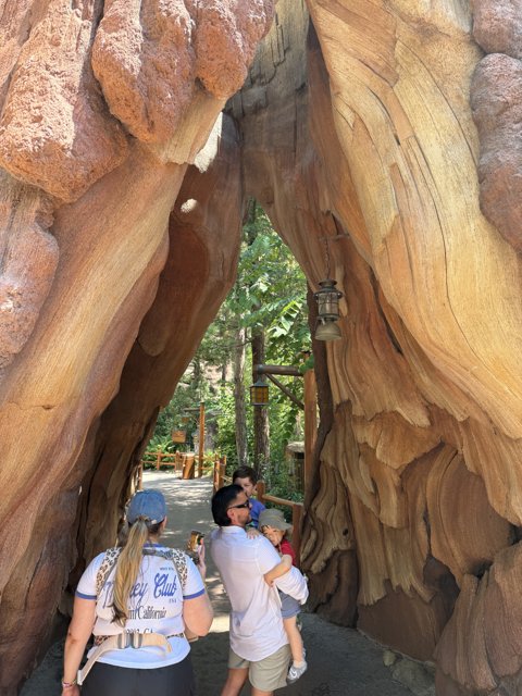 Wandering Through Natural Wonders