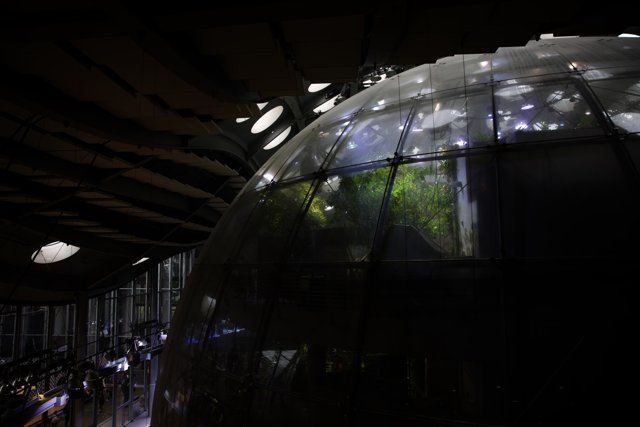 The Living Dome at California Academy of Sciences