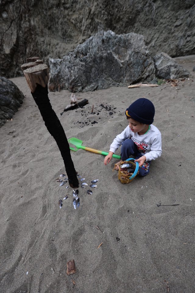 Young Explorer Collecting Shells on a Rocky Beach