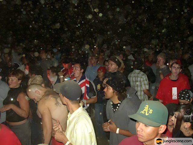Snowy Party Crowd