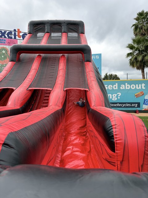 Slide into Fun